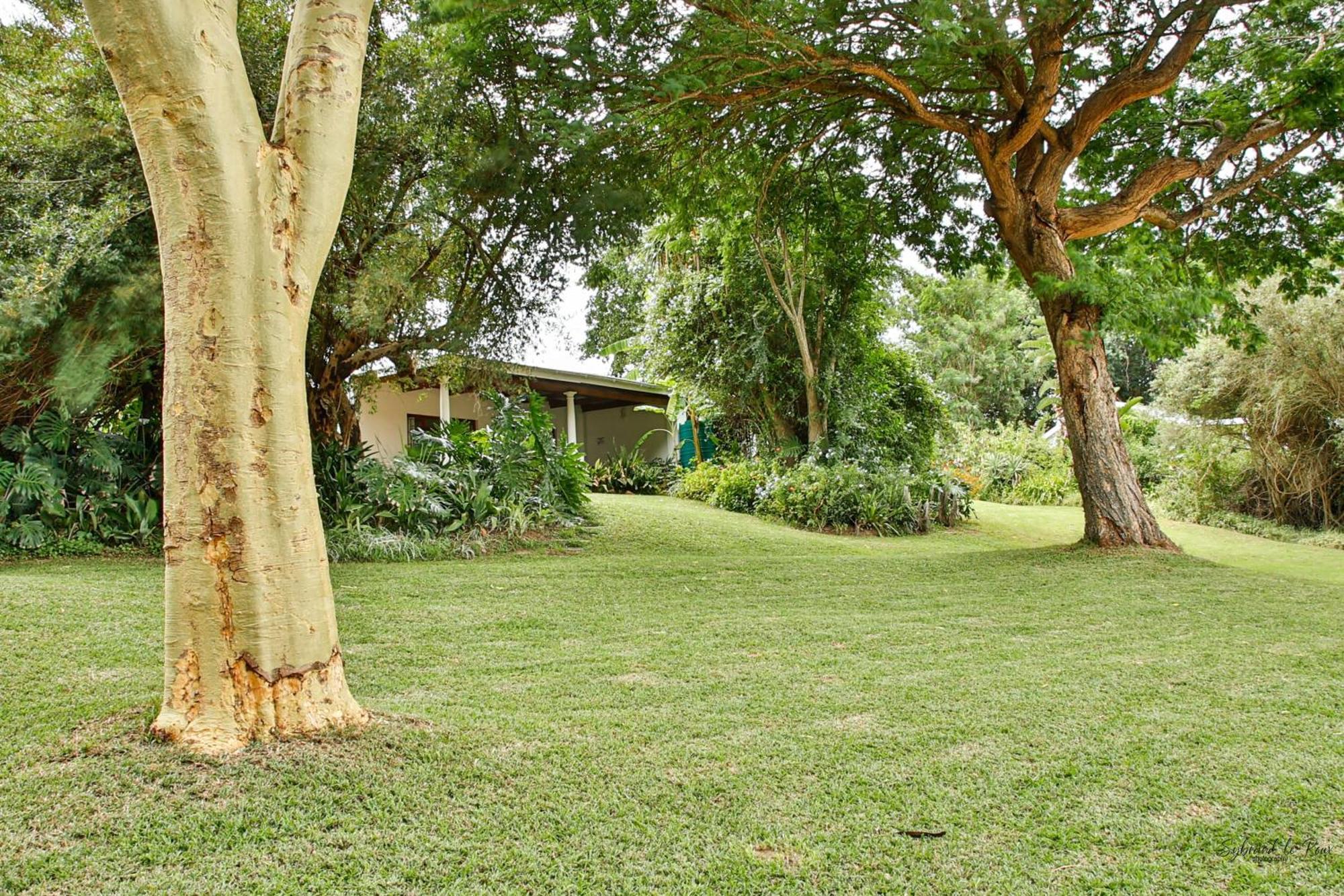 Ndlovu Addo River Lodge Kirkwood Exterior photo